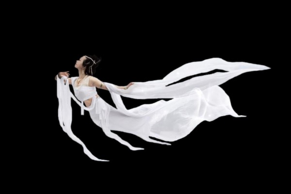 武汉茶馆里的小客人，流浪乌龟泡茶趣事